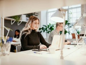 offre de stage redacteur web