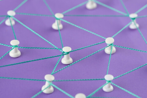 netlinking